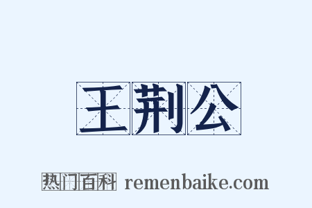 王荆公是什么意思的图片